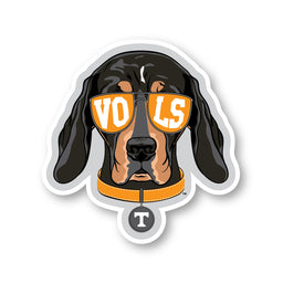 Smokey Shades VOLS Decal