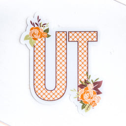 UT Lattice Decal