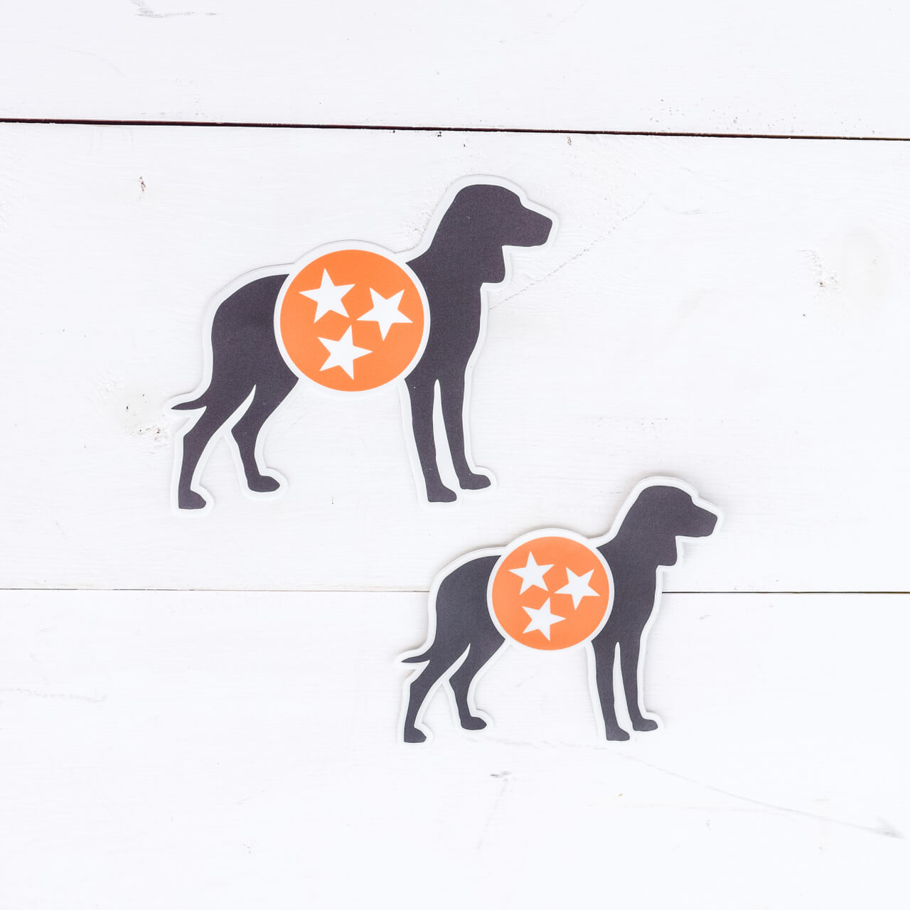 Dog w/Tennessee Tri-Star Decal