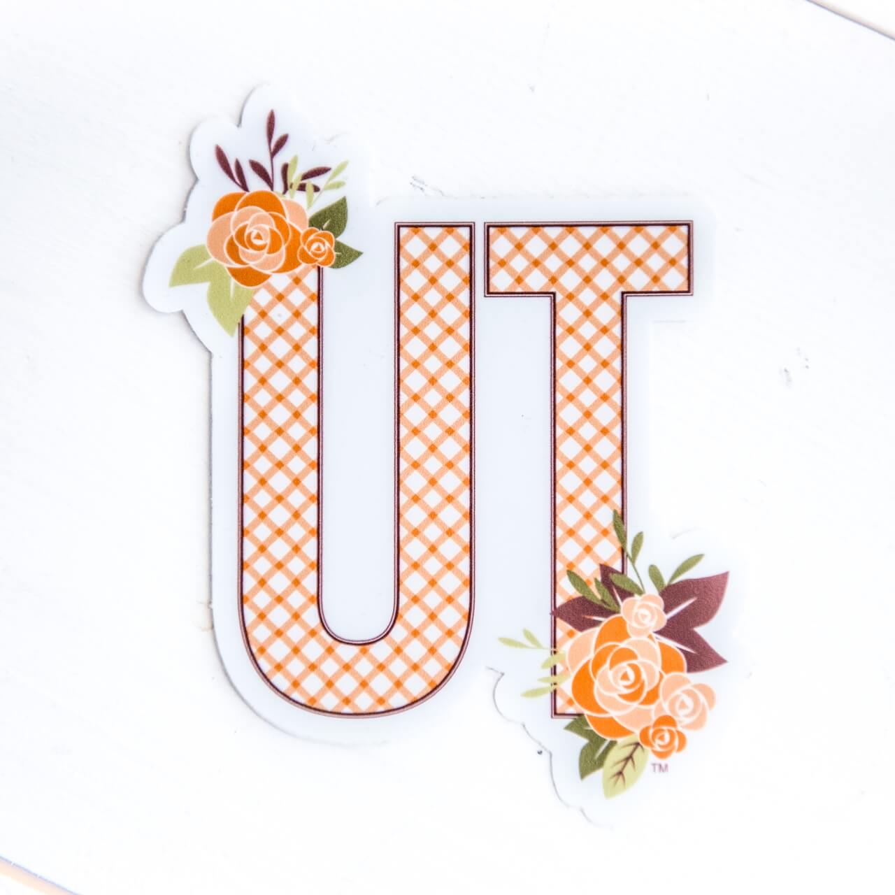 UT Lattice Decal