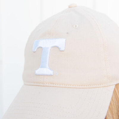 Tennessee Power T Dad Cap
